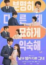 Watch Miss Night and Day Movie2k