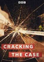 Watch Cracking the Case Movie2k