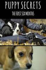 Watch Puppy Secrets: The First Six Months Movie2k