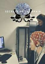 Watch Secrets of the Brain Movie2k