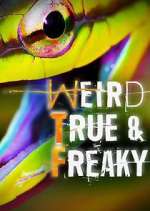 Watch Weird, True & Freaky Movie2k