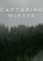 Watch Capturing Winter Movie2k