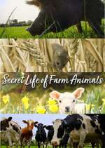 Watch Secret Life of Farm Animals Movie2k