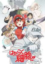 Watch Cells at Work! Movie2k