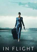 Watch In Flight Movie2k
