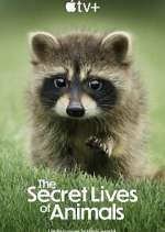 Watch The Secret Lives of Animals Movie2k