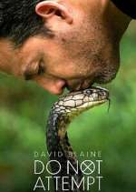 Watch David Blaine Do Not Attempt Movie2k