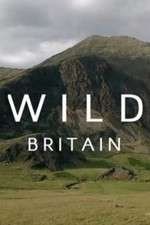 Watch Wild Britain Movie2k