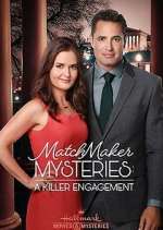 Watch The Matchmaker Mysteries Movie2k