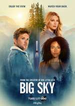 Watch Big Sky Movie2k
