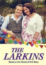 Watch The Larkins Movie2k