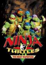Watch Ninja Turtles: The Next Mutation Movie2k