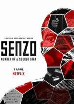 Watch Senzo: Murder of a Soccer Star Movie2k