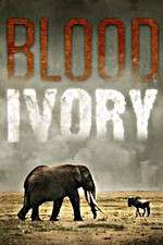 Watch Blood Ivory Movie2k
