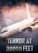 Watch Terror at 30,000 Feet Movie2k