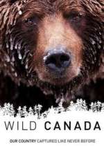 Watch Wild Canada Movie2k