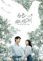 Watch The White Olive Tree Movie2k