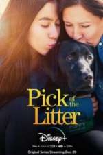 Watch Pick of the Litter Movie2k