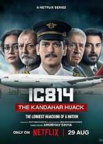 Watch IC 814: The Kandahar Hijack Movie2k