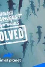 Watch Nature\'s Strangest Mysteries: Solved Movie2k