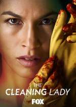 Watch The Cleaning Lady Movie2k