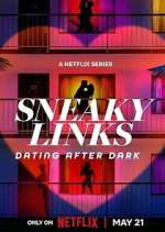 Watch Sneaky Links: Dating After Dark Movie2k