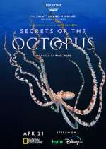 Watch Secrets of the Octopus Movie2k