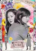 Watch Spring Turns to Spring Movie2k