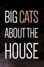 Watch Big Cats About the House Movie2k