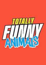 Watch Totally Funny Animals Movie2k
