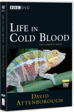 Watch Life in Cold Blood Movie2k