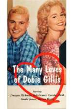 Watch The Many Loves of Dobie Gillis Movie2k
