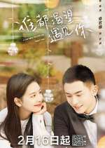 Watch Everyone Wants to Meet You Movie2k