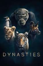 Watch Dynasties Movie2k
