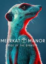 Watch Meerkat Manor: Rise of the Dynasty Movie2k
