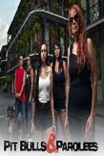 Watch Pit Bulls and Parolees Movie2k