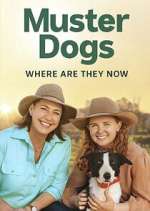 Watch Muster Dogs: Where Are They Now? Movie2k