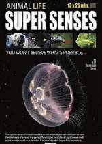 Watch Super Senses Movie2k