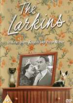 Watch The Larkins Movie2k
