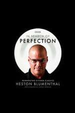 Watch In Search of Perfection Movie2k