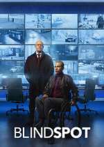 Watch Blindspot Movie2k