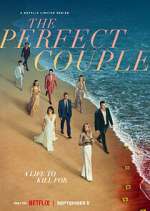 Watch The Perfect Couple Movie2k