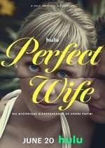 Watch Perfect Wife: The Mysterious Disappearance of Sherri Papini Movie2k