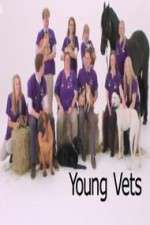 Watch Young Vets Movie2k