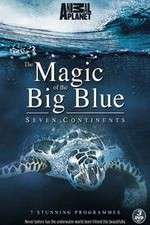 Watch The Magic of the Big Blue Movie2k