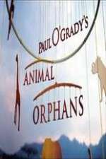 Watch Paul O'Grady's Animal Orphans Movie2k