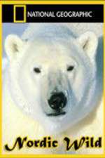 Watch Nordic Wild Movie2k