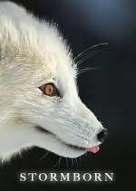 Watch Stormborn Movie2k