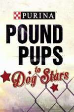 Watch Purina Pound Pups To Dog Stars Movie2k