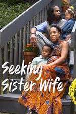Watch Seeking Sister Wife Movie2k